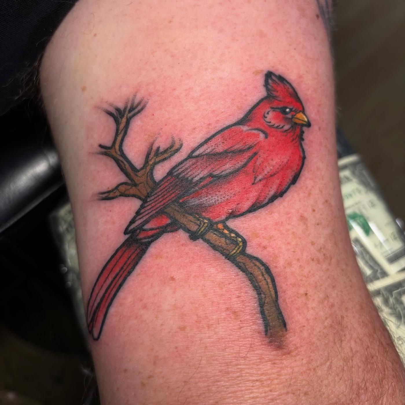A color cardinal tattoo on an arm